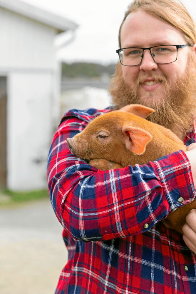 "Ett tag var grisarna på väg bort från Hamragård men så kom vi på hur roligt det är att arbeta med dem så då utökade vi igen”, säger Johan Sten.