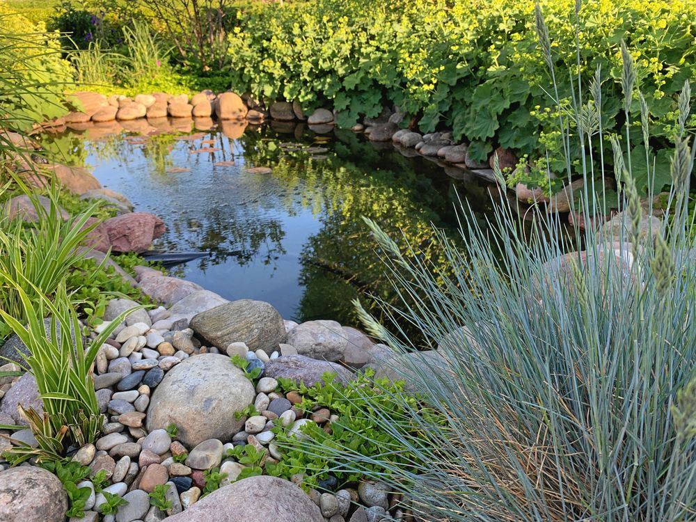 Mjuka former ska det vara. Håkan grävdeen njurformad damm och skapade sin strand med köpta, runda stenar.
