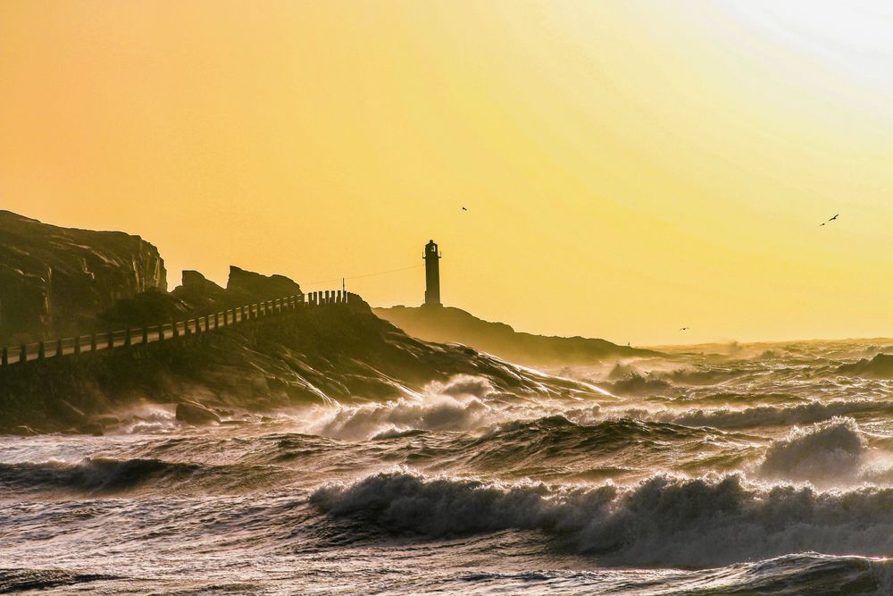 PLATS 2-5. Calle Svane från Varberg skildrar sin västkust när stormen drar in en höstdag.
