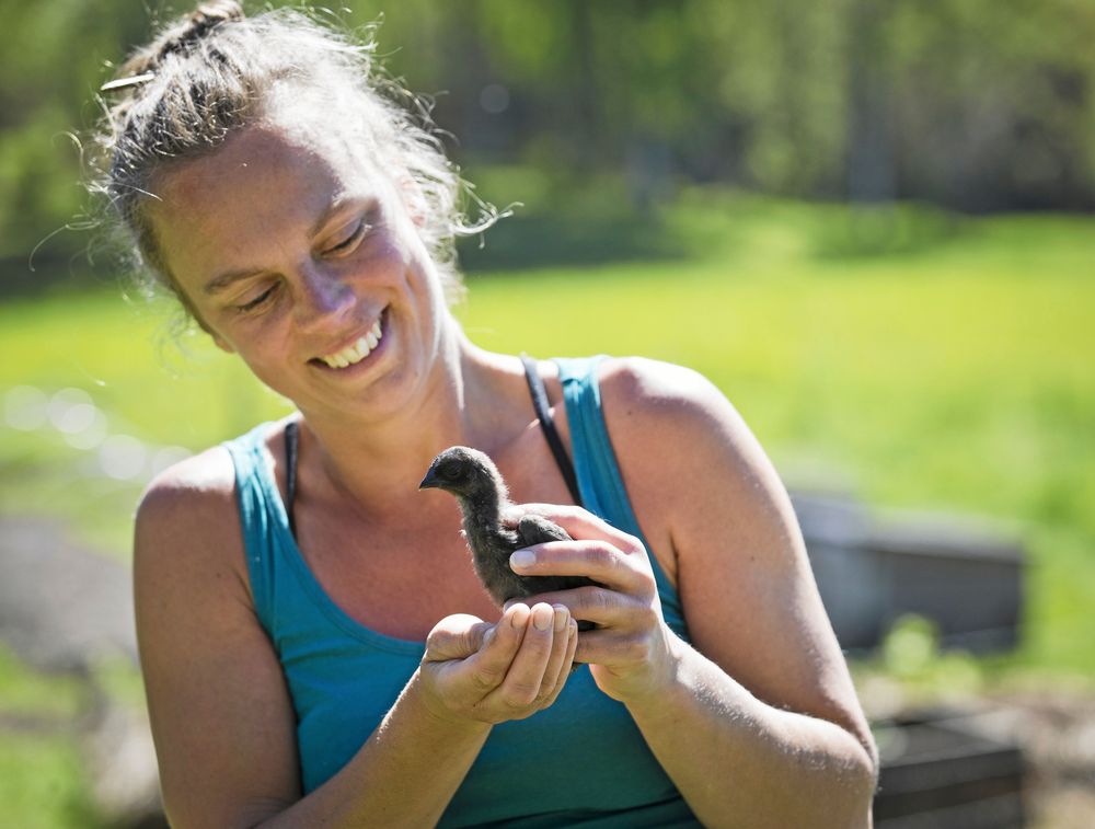 Karin älskar sina kycklingar och höns och skulle gärna vilja has fler djur, kanske får.