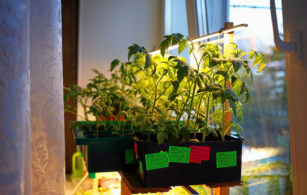 Hembygge för fönsterbrädan. Här med en belysningslist full med LED-lampor.