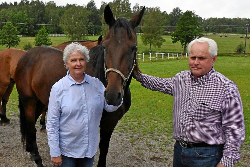 Sedan 1960–talet har det fötts upp 350 föl på gården som sedan blivit travhästar. Birgitta och Ulf Eliasson håller fortfarande liv i den verksamheten.