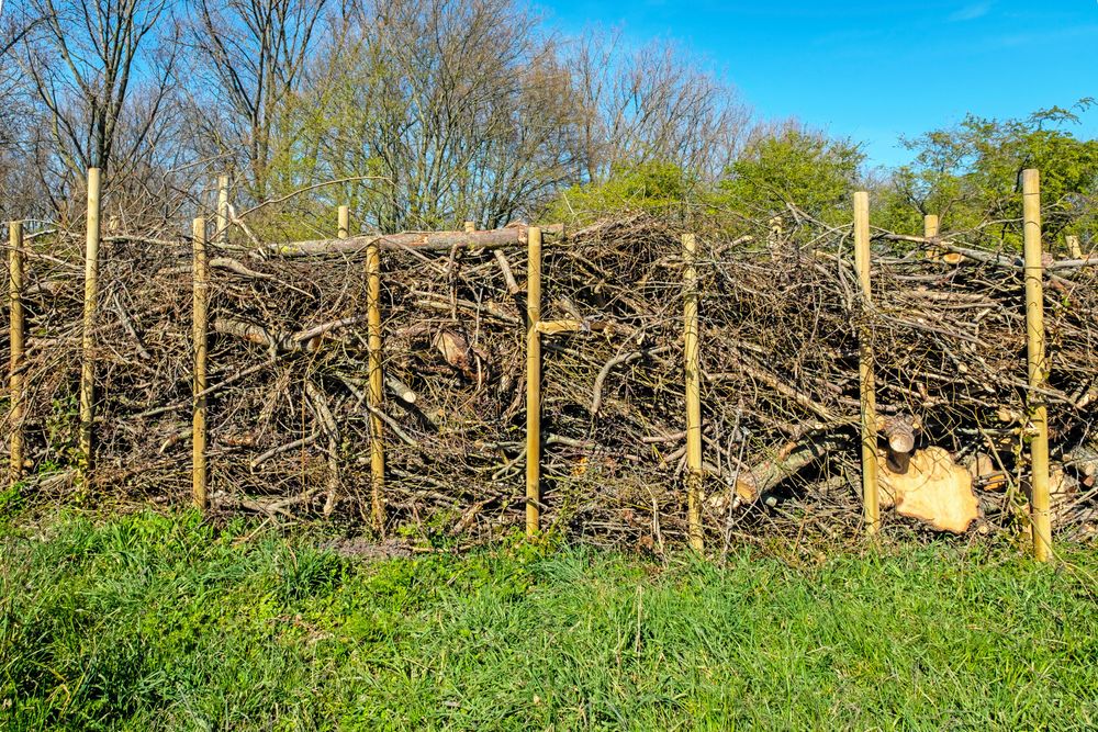 Var är riset? Borta! Du behöver inte ens fläta. Trava mellan två rader stolpar och du har gjort gott för både dig själv och insekterna.