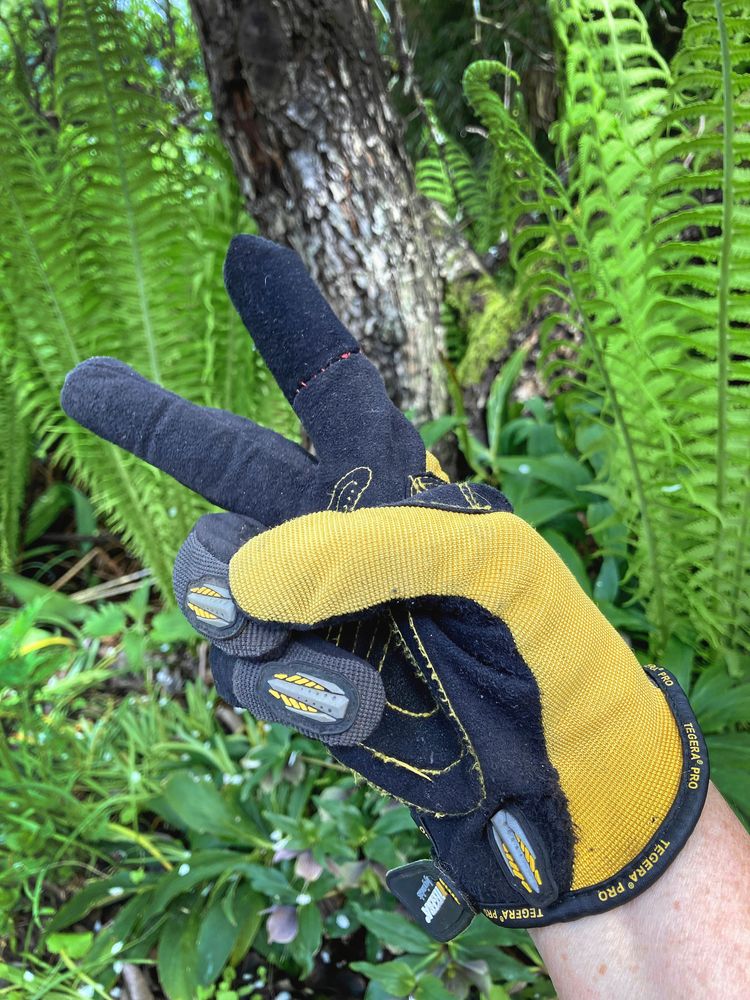 Nu håller de en stund till. Kika noga så ser du de röda stygnen efter "operationen".