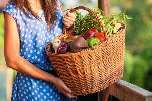 Genom att få beställning och betalning i förväg blir det lättare för odlarna att planera rätt.