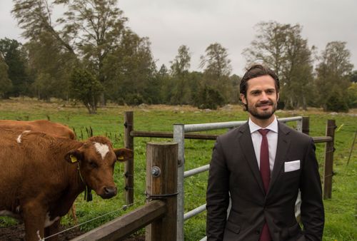 Prins Carl Philip tror att möjligheterna är goda för att öka den inhemska köttproduktionen.