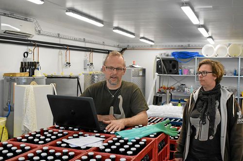 Varje steg i varje bryggning dokumenteras på datorn. Calle och Marika Sjöström har numera lite mer utrymme att vara på.