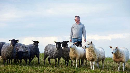 – En förklaring till den ökade efterfrågan är att svenskt lammkött har gott förtroende hos svenska konsumenter, säger Magnus Jönsson, som är ordförande i svenska Fåravelsförbundet.