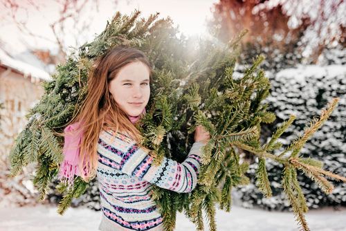 Granen ska kastas ut på Knutsdagen om man vill följa traditionen.