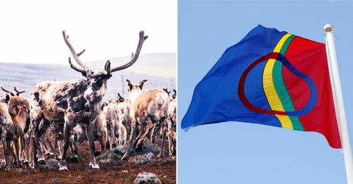 Idre sameby. Foto: Mostphotos