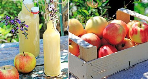 Godaste äppeldrickan gör du enkelt själv.