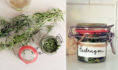 Foto: Sandra Back och David Langseth, som driver bloggen Trä, hops och kärlek