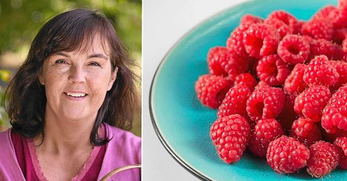 Hellre hallon än ett ändlöst krig mot en övermäktig armé. Foto: Thomas Carlgren/IBL