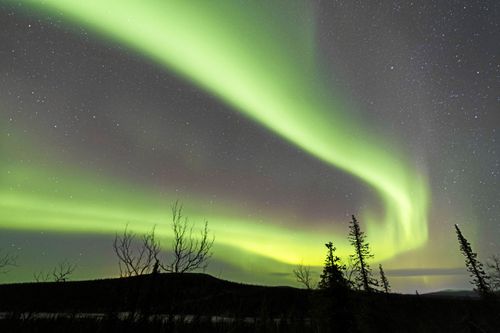 Norrskensturism är poppis i Norrbotten.
