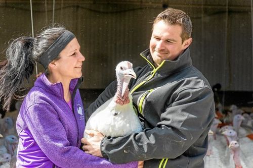 Makarna Hildebrand hjälps åt med allt kring kalkonuppfödningen. Att driva företaget och gården ihop har blivit ett sätt att leva.