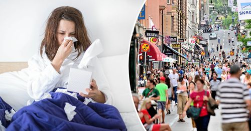 Influensaepidemierna sprids främst genom den höga graden av mänsklig kontakt i storstan.