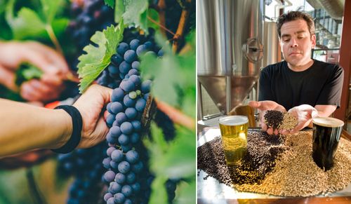 Svenskt vin och svenskt öl - två representanter för starka dryckestrender just nu.