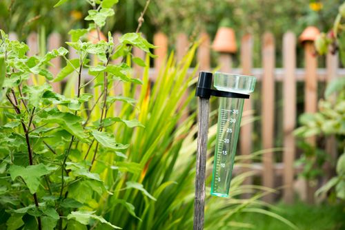 Om du är trädgårdsägare kan du tjäna extraslantar som ”klimatobservatör” för SMHI.