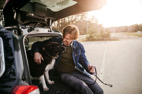 Reser du med hund i bilen? Ha koll på de viktigaste reglerna.