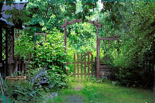 Välkommen till Öppen Trädgård den 21 juli 2019!