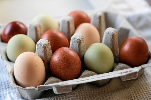 Ljusbruna, mörkt brunröda, vita eller gröna. Ägg från olika hönsraser. Foto. Istock