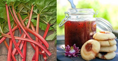 Kardemumman ger rabarbersylten fantastisk smak.