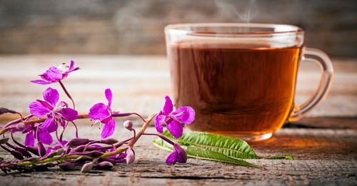 Te direkt från hygget. Gör eget, koffeinfritt te av mjölkört.