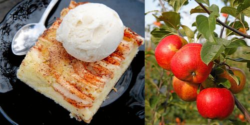 Vångas underbara äppelkaka smakar allra bäst med en klick vaniljglass.