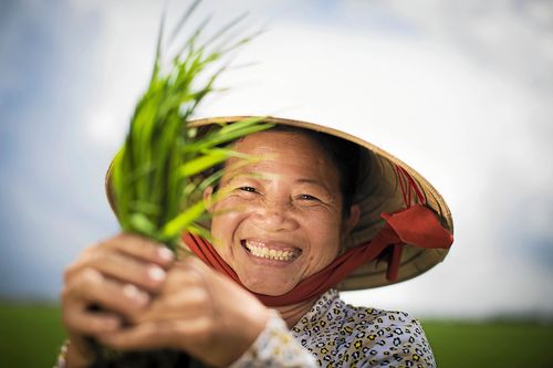 Din gåva kan göra skillnad! Risbonden Do Thi Ha i Vietnam har fått hjälp av organisationen We effect.