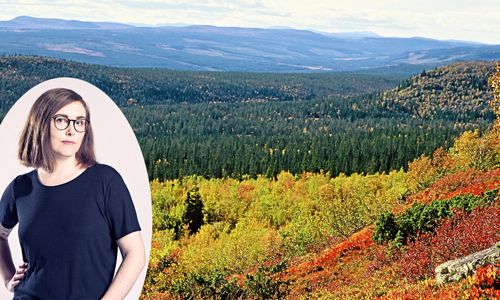 Elin Willows debutroman handlar om att försöka höra till. Men hur ska en kvinna från storstaden lära sig koderna i ett litet samhälle i skogen? Foto: KENNETH JOHANSSON och FRANK UNGER