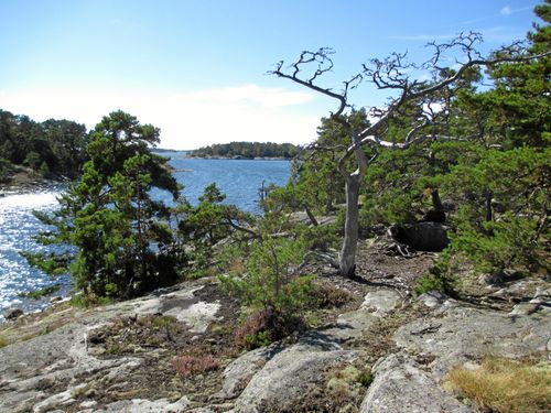 Rågskär är en av de vackra öar som kommer att ligga inom den planerade nationalparken Nämdöskärgården.