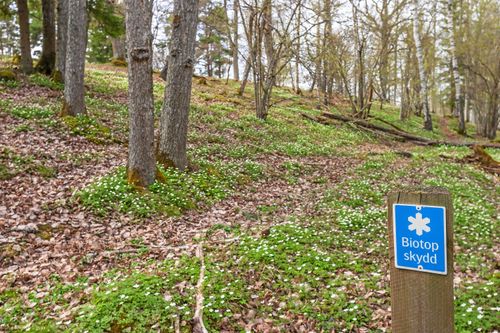 För den som äger mark finns en hel del regler att förhålla sig till, men markägare har även rättigheter. Här reder vi ut vad som gäller.