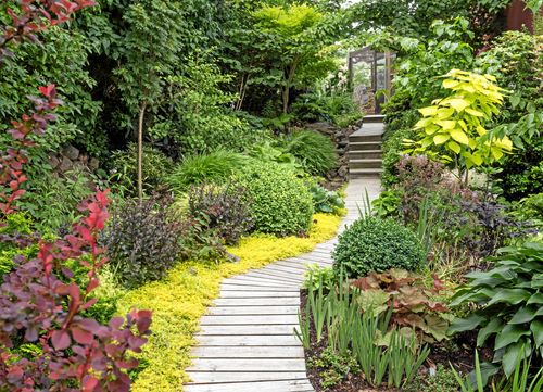 Välkommen på trädgårdstur på söndag. Här är en vacker gång hemma hos Christina och Leif Fryle i Varberg, en av de trädgårdar som öppnas för allmänheten.